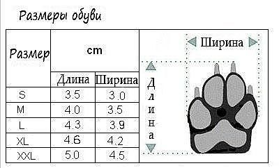 обувь для собак размеры